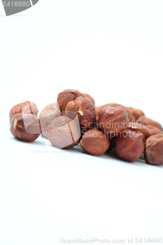 Image of hazelnut