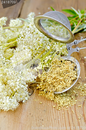 Image of Herbal tea from meadowsweet dry in a strainer