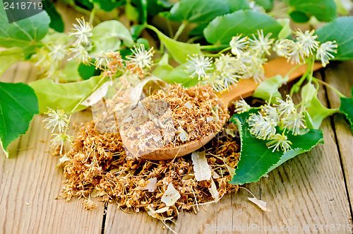 Image of Herbal tea from dry linden flowers on a spoon