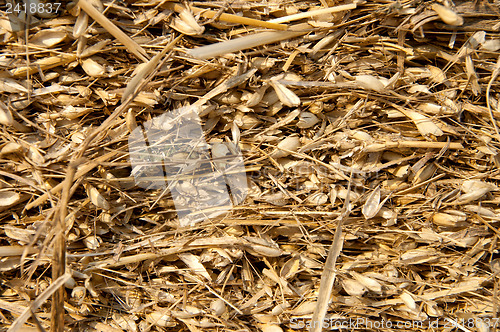 Image of image of pressed straw with husk