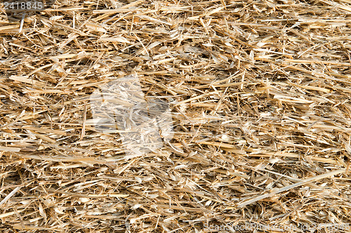 Image of straw closeup as background