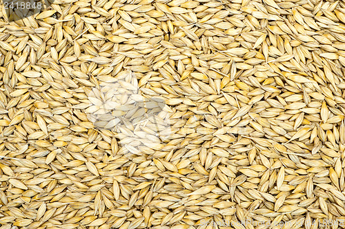 Image of grain as good natural background