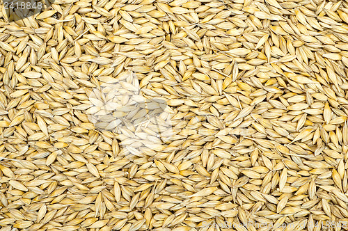 Image of grain as good natural background