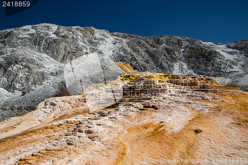 Image of Mammoth Hot Springs Terraces