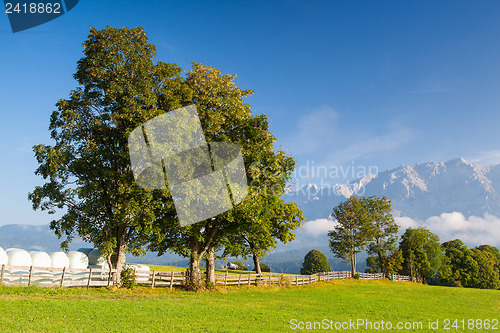 Image of Morning on the mountains