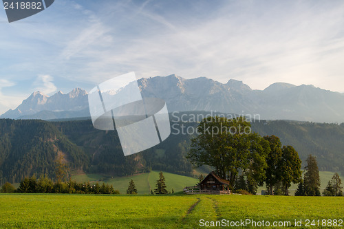 Image of On pasture in mountains