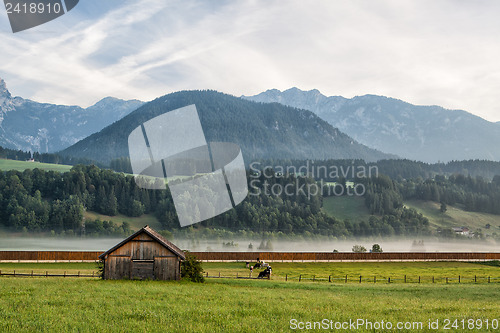Image of On pasture in mountains