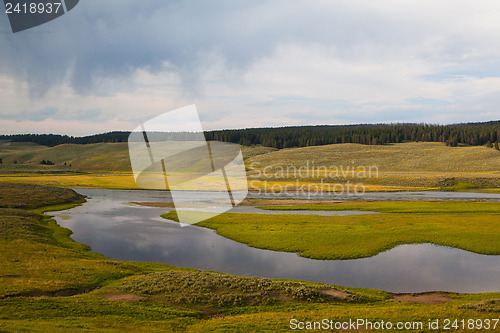 Image of Hayden Valley - landscape of American Bison