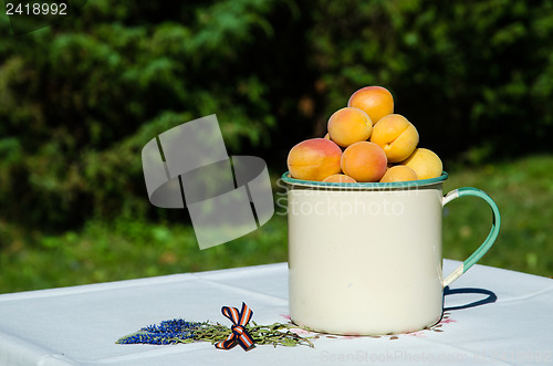 Image of Apricots on decorated table