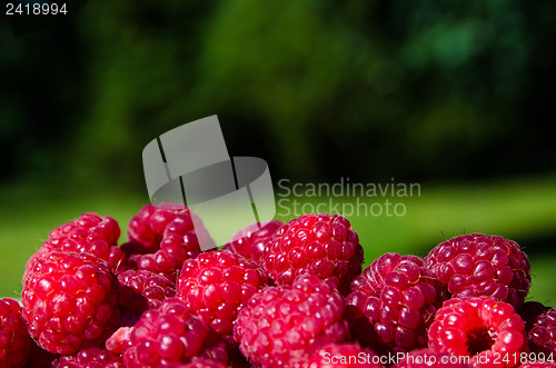 Image of Raspberries 