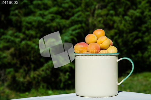 Image of Apricots in a cup