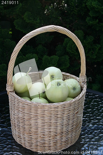 Image of Basket with Transparent Blanche apples