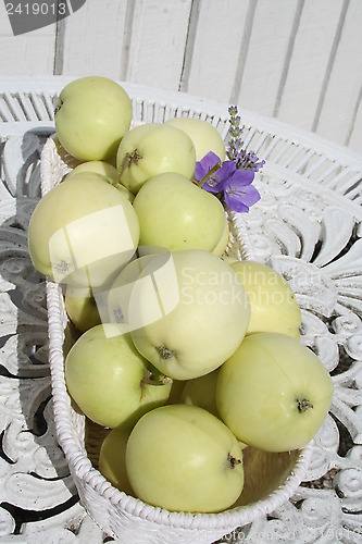 Image of Transparent Blanche apples