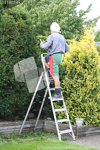 Image of Gardener