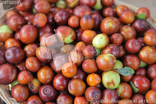 Image of Olives