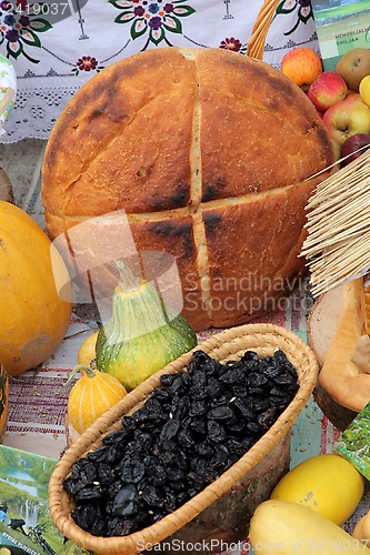 Image of Autumn Harvest