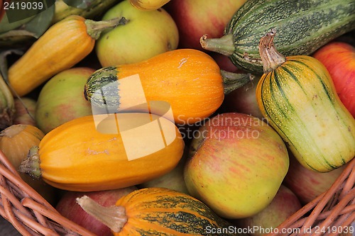Image of Autumn Harvest