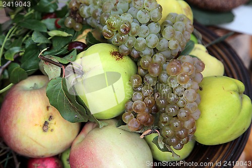 Image of Autumn Harvest. Ripe apples and bunch of grapes