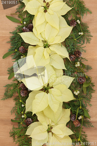 Image of Poinsettia Flower Border