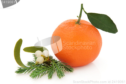 Image of Christmas Fruit