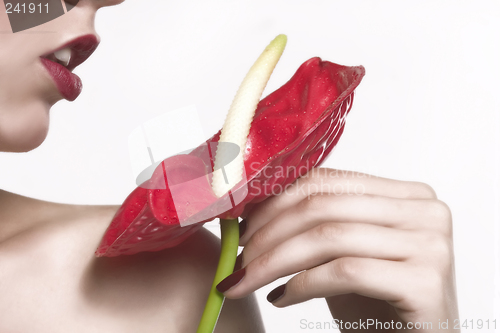 Image of red flower and red lips