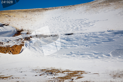 Image of Snowy desert