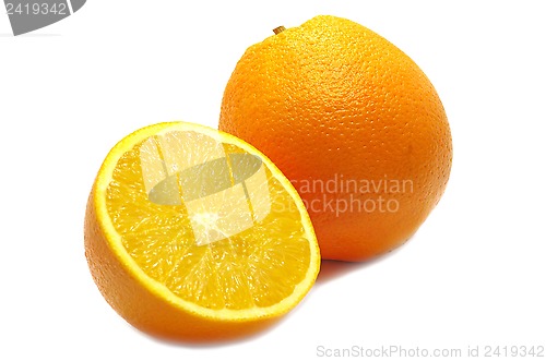Image of no caption