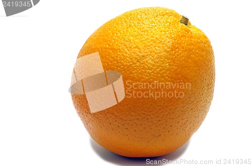 Image of no caption