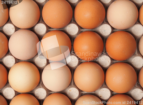 Image of Eggs in container