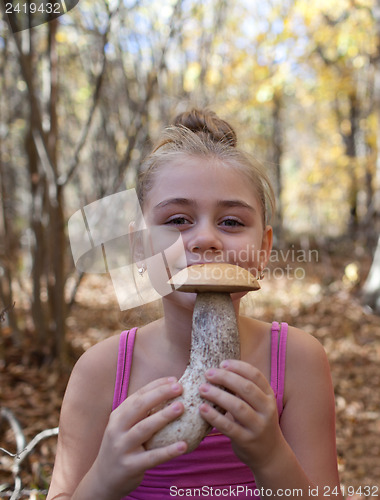 Image of Find in the forest