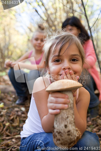 Image of Find in the forest