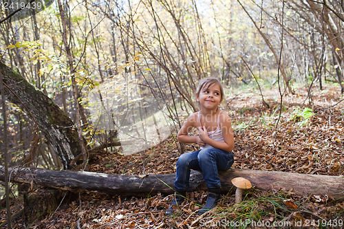 Image of In the forest