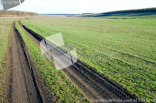 Image of dirty road to horizon in green grass