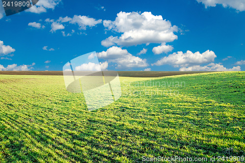 Image of good green field and blue sky in spring