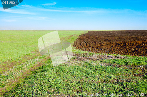 Image of green and black field in spring