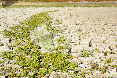 Image of view to earth with cracks and grass