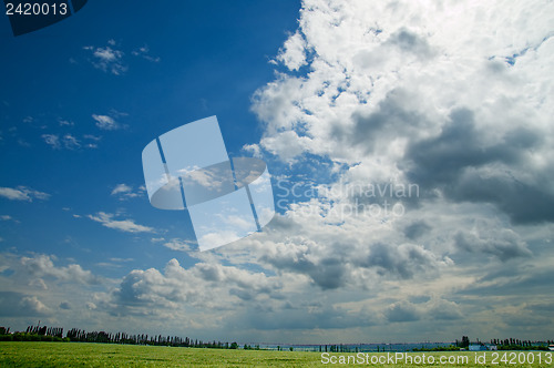 Image of field of green wheat under cloudy sky