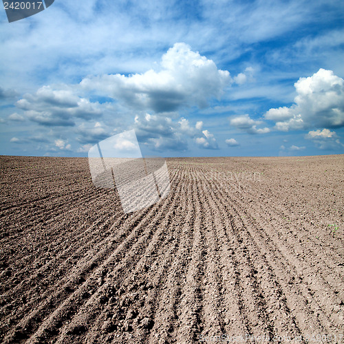 Image of black ploughed field