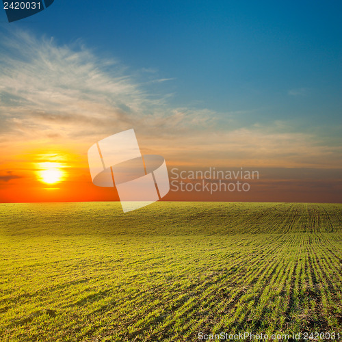 Image of last sunrays under green field