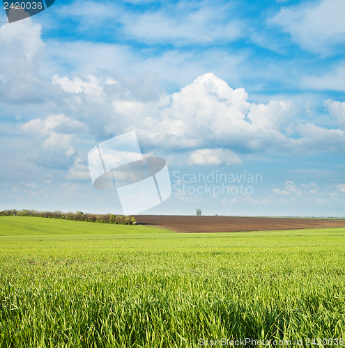 Image of green and black field under cloudy sky