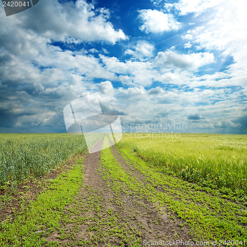 Image of rural road in green field