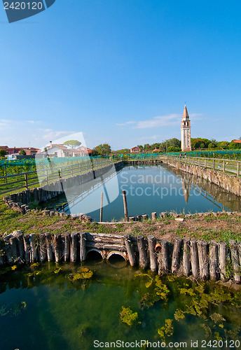 Image of Venice Burano Mazorbo vineyard