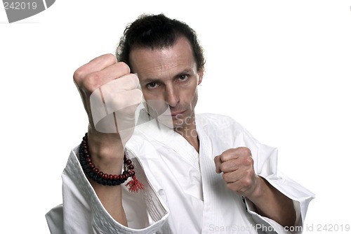 Image of white fist