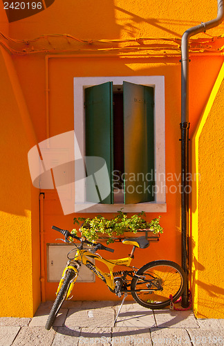 Image of Italy Venice Burano island