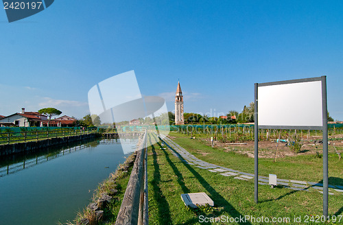 Image of Venice Burano Mazorbo vineyard