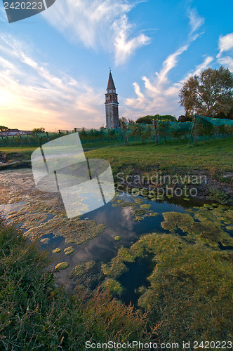 Image of Venice Burano Mazorbo vineyard