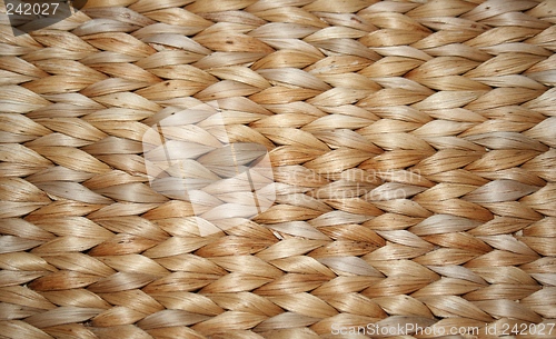 Image of Plaited pattern