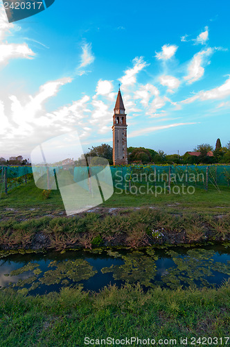 Image of Venice Burano Mazorbo vineyard