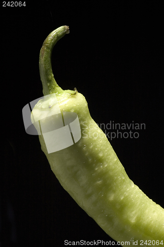 Image of macro of paprika