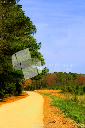 Image of Country Lane